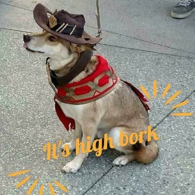 Profile Picture of Martin Steiger (@Raiden_6969) on Twitter