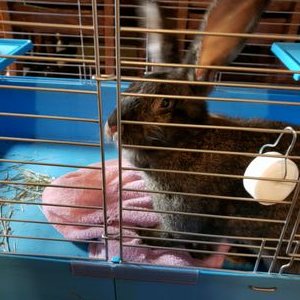 Profile Picture of James Branch (@JamesBr51187385) on Twitter