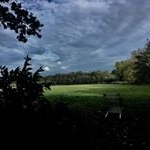 Profile Picture of Chris Pennock (@crispy.ffa) on Instagram