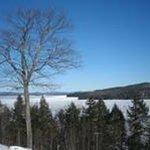 Profile Picture of Pamela Abbott (@pdaveg) on Instagram