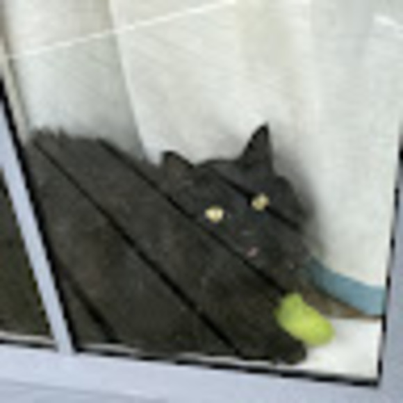 Profile Picture of Astridabby Russell-smith (@astridabby) on Poshmark