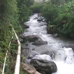 Greg McManaman - Facebook Profile Picture of Greg McManaman (@greg.mcmanaman) on Facebook