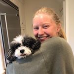 Profile Picture of Claire (@clairedalinka) on Instagram