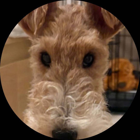 Profile Picture of Jayne Tsuchiyama (@lilhiroko) on Poshmark