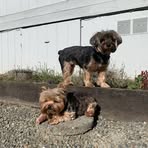 Profile Picture of Ken McMillen (@ken.mcmillen.547) on Facebook