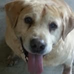 Profile Picture of Gary Lucier (@gary.lucier.397) on Facebook