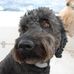 Profile Picture of Scott MacDonald (@scott.macdonald.376695) on Facebook