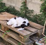 Profile Picture of Alex Yoo (@sooyeoun.you) on Facebook