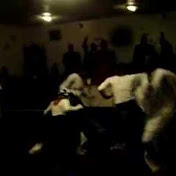 Profile Picture of Joshua Rivers (@joshuashalomrivers10) on Youtube