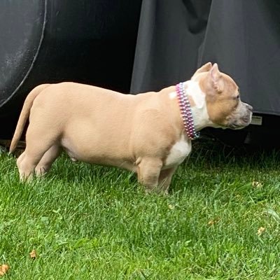 Profile Picture of Edwin Saez (@EdwinSa87594973) on Twitter