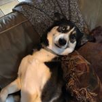 Aaron Avent - Instagram Profile Picture of Aaron Avent (@aaronavent) on Instagram