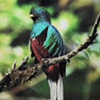 Profile Picture of Jorge Aceituno (@jorge-aceituno-3) on Quora