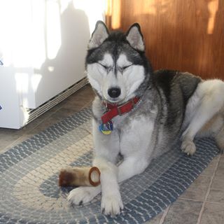 Profile Picture of Calvin Jutzi (@calvin.jutzi) on Facebook