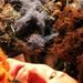 Profile Picture of Jesse Pollak (@jessepollak) on Pinterest
