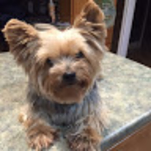 Profile Picture of Sam Hickey (@shickey7) on Poshmark