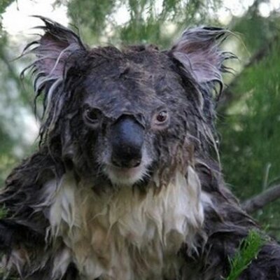 Profile Picture of Gregory Ryan Herron (@AZRyGuy) on Twitter