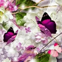 Profile Picture of Veronica Rasmussen (@veronica-rasmussen) on Quora