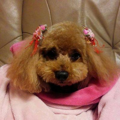 Profile Picture of HIROMI  ONO (@djshp0606) on Twitter