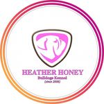 Profile Picture of Питомник HEATHER HONEY🍯 (@heather_honey_bulldogs) on Instagram