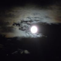 Profile Picture of Dawn Jennings (@dawn-jennings-13) on Quora