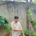 Dennison Ivan Tolentino Garcia - Facebook Profile Picture of Dennison Ivan Tolentino Garcia (@DracoEneryx) on Facebook