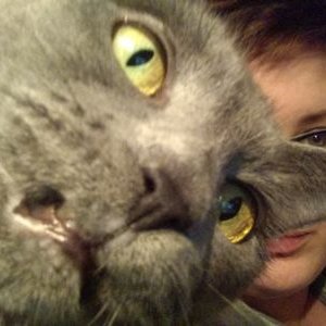 Profile Picture of Jen Thayer Lamkin (@JThayerLamkin) on Twitter