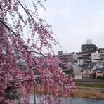 Eriko Bech - Facebook Profile Picture of Eriko Bech (@eriko.bech) on Facebook