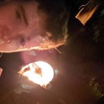 Profile Picture of Adam Orchard (@orchard.adam) on Instagram