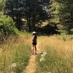 Profile Picture of Rita Khoury (@rita_khoury_) on Instagram