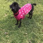 Profile Picture of Anne Crabbe (@anne.crabbe.963) on Facebook