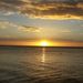 Profile Picture of Jason Exner (@jasonexner) on Pinterest