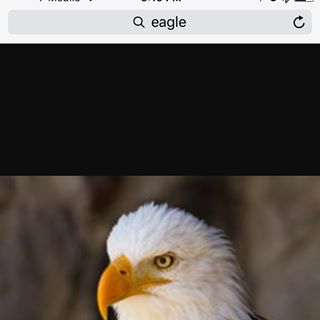 Profile Picture of Ray Anders (@ray.anders.547) on Facebook