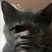 Profile Picture of Mateusz Staniszewski (@mateusz.staniszewski.37051) on Facebook
