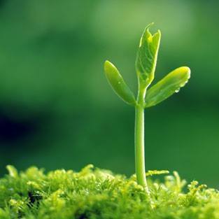 Profile Picture of Alvin Huynh (@tuan.huynhanh.5036459) on Facebook