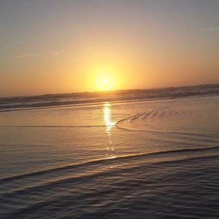 Profile Picture of Miranda Willis-Burr (@mwburrphotography) on Instagram