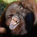 Profile Picture of Paul Filipos (@obamahasmyvcr69) on Pinterest