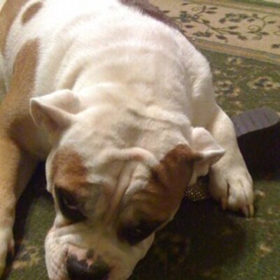 Profile Picture of Byron Troy Dalton (@mississippitroy) on Twitter