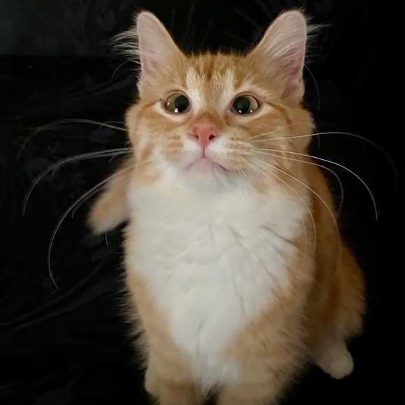 Allan Dayoc - Poshmark Profile Picture of Allan Dayoc (@allandayoc) on Poshmark