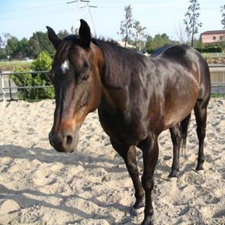 Profile Picture of David D. Rogers (@catsnak) on Facebook