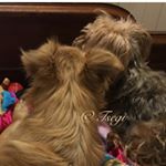 Profile Picture of JR Riggs  (Tsegi) (@jrriggs_tx) on Instagram