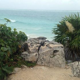 Profile Picture of Angela Thomason Patrick (@apatrick37) on Pinterest