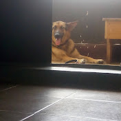 Profile Picture of Joseph Okolo (@josephokolo4897) on Youtube