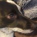 Profile Picture of Patricia Steiger (@patricia.steiger.1804) on Facebook