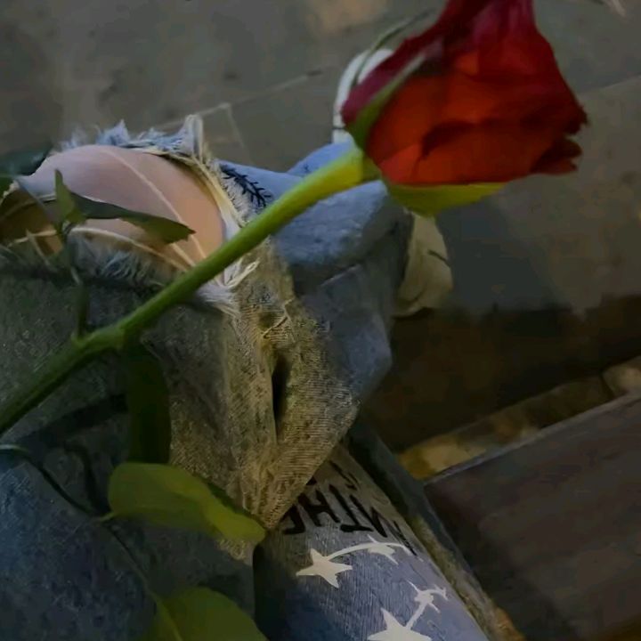Profile Picture of Myriam5_1🌻✌️ (@myriampdc) on Tiktok