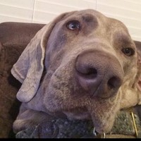 Profile Picture of Gabriel Allan (@gabriel-allan) on Quora