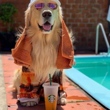 Profile Picture of LuisPatricio (@LuisPat61626382) on Twitter