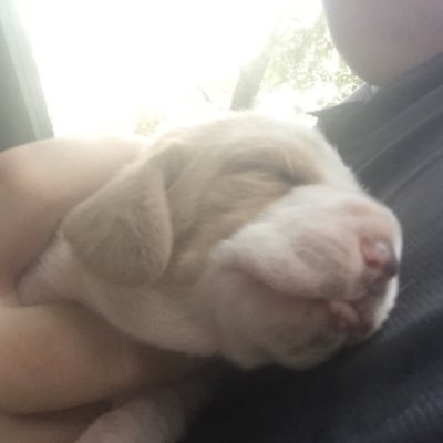 Profile Picture of Jon Cole (@mrstats_2288) on Twitter