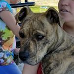 Ellen Knight Bledsoe - Instagram Profile Picture of Ellen Knight Bledsoe (@ellenbledsoe5267) on Instagram