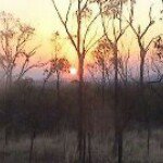 Profile Picture of Shanna Janz (@gonebush1979) on Instagram