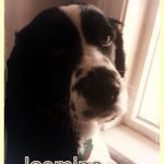 Profile Picture of Patsy (@doolittle5611) on Instagram